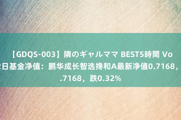 【GDQS-003】隣のギャルママ BEST5時間 Vol.2 7月22日基金净值：鹏华成长智选搀和A最新净值0.7168，跌0.32%