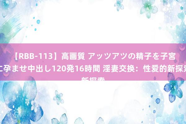 【RBB-113】高画質 アッツアツの精子を子宮に孕ませ中出し120発16時間 淫妻交换：性爱的新探索