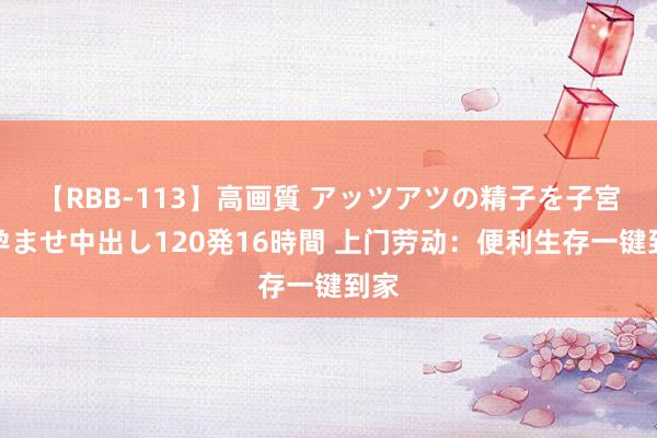 【RBB-113】高画質 アッツアツの精子を子宮に孕ませ中出し120発16時間 上门劳动：便利生存一键到家