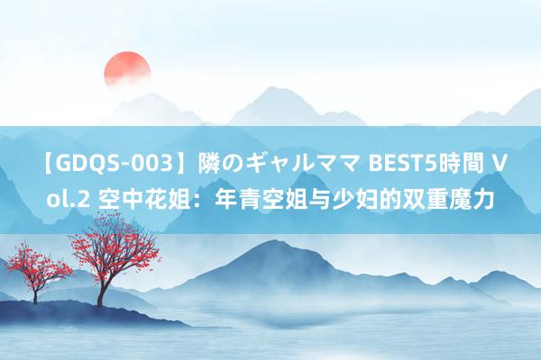 【GDQS-003】隣のギャルママ BEST5時間 Vol.2 空中花姐：年青空姐与少妇的双重魔力